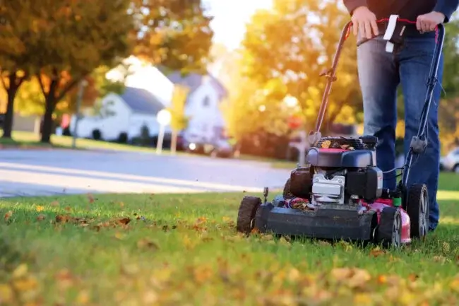 How to Winterize your lawn for Colorado